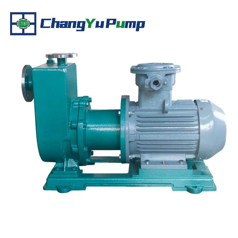 CQZ Stainless Steel Self Priming Magnetic Drive Pump (2)
