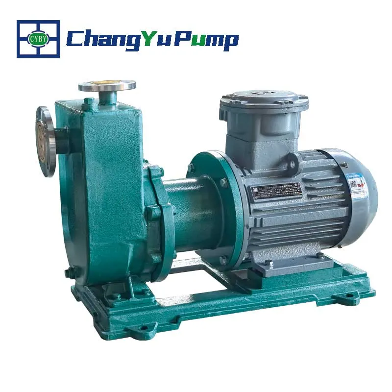 CQZ Stainless Steel Self Priming Magnetic Drive Pump