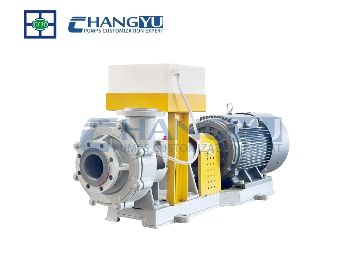 Chemical Slurry Pump