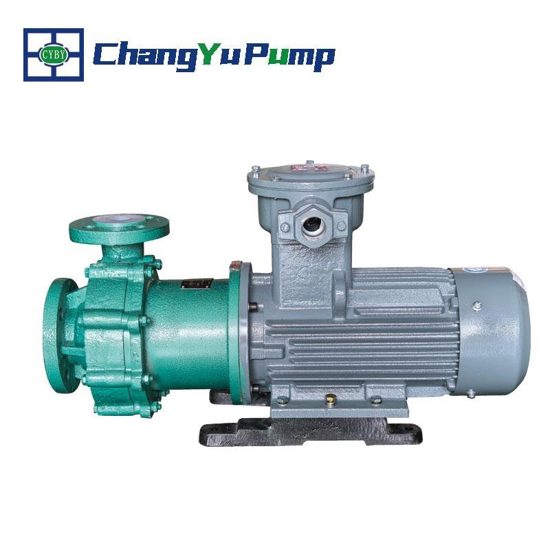 High Temperature Magnetic Drive Pump (1)