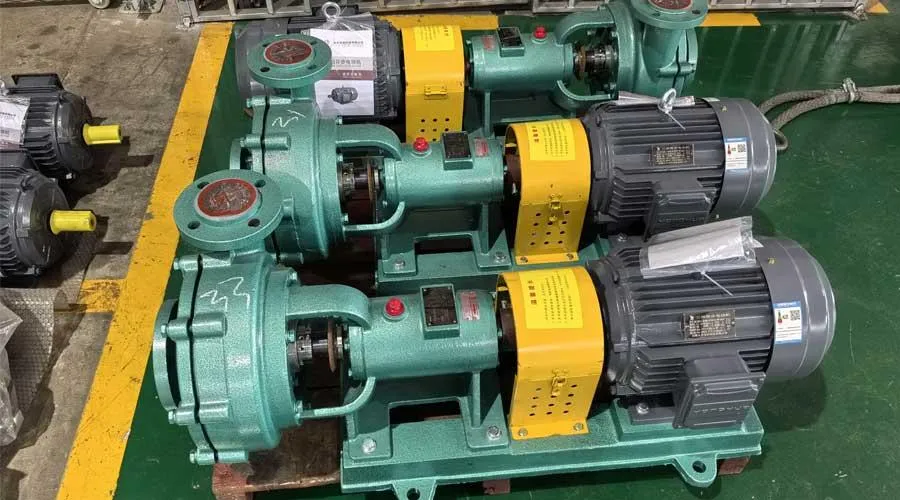 Plastic-lined horizontal slurry pump customized for Indonesian customers