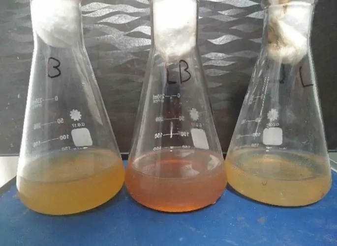 Nanoparticle Suspension Conveyance