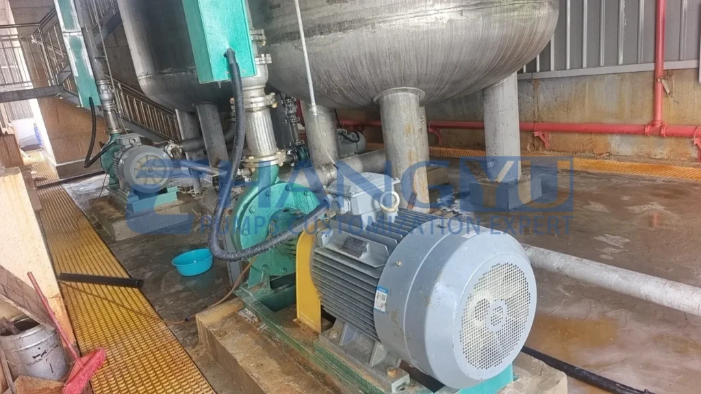 Industrial Process Pump