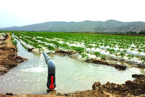 Other Applicable Scenarios