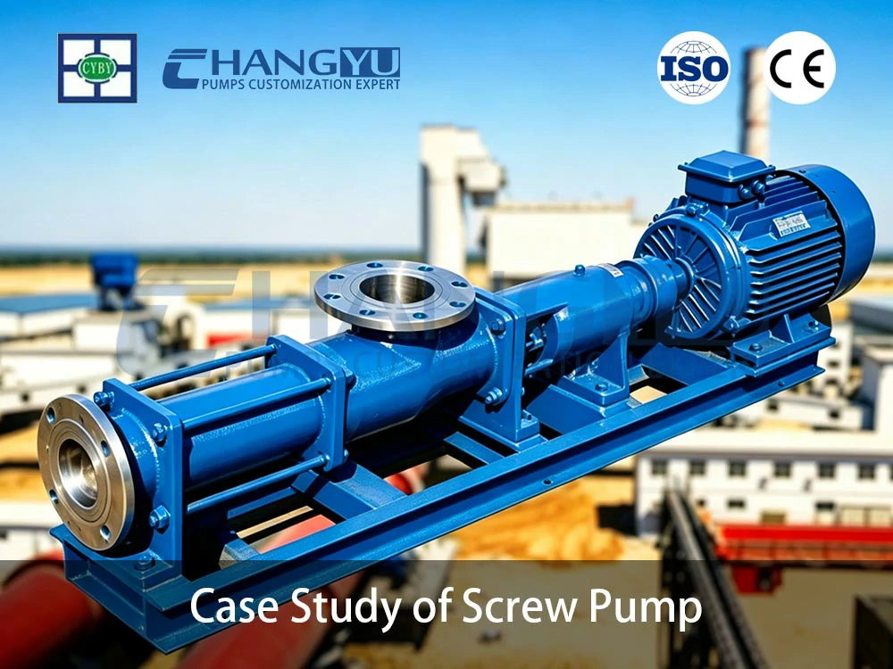 Case Study of Screw Pump