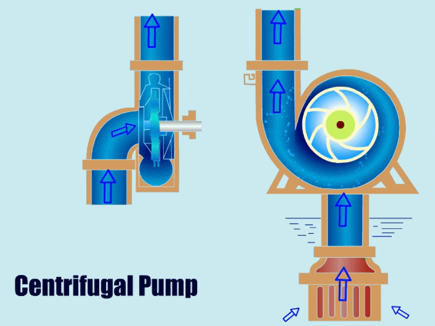 Centrifugal Pumps Work