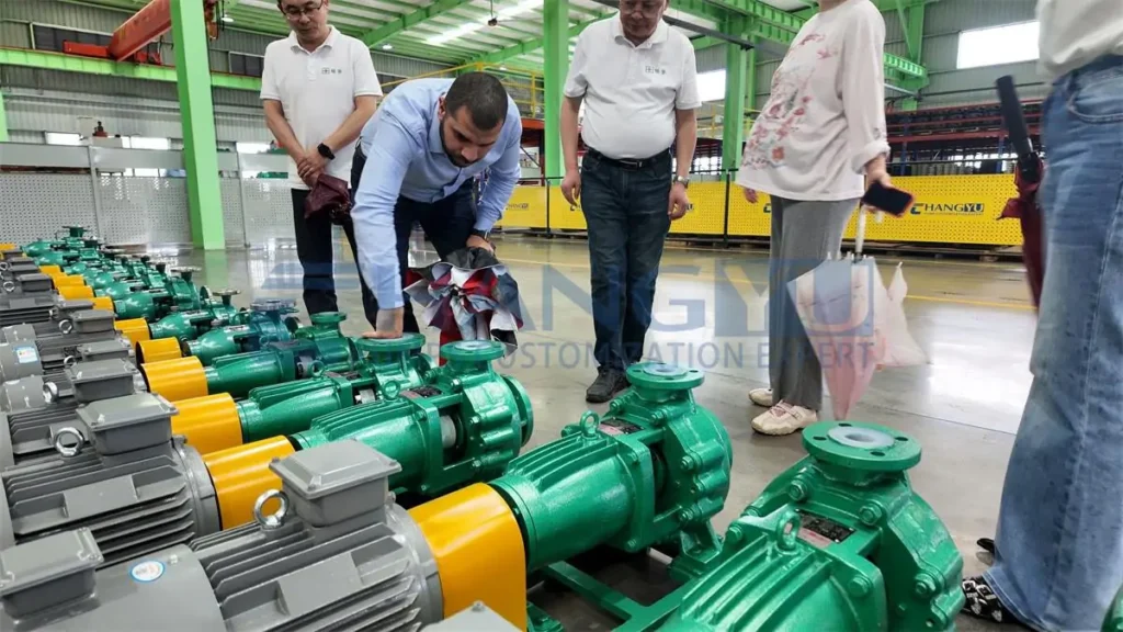 chemical centrifugal pump inspection (2)