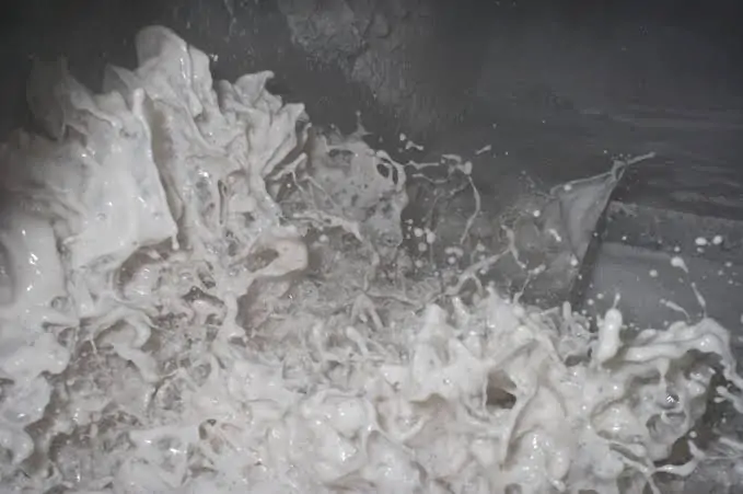 Paper pulp