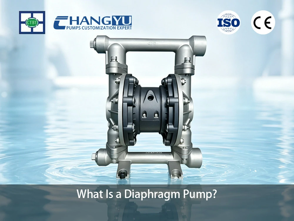 What Is a Diaphragm Pump