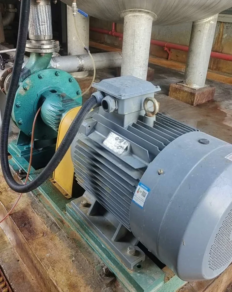 Pumps for Polyaluminium Chloride Production