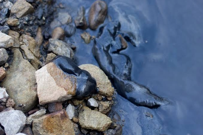 Coal slurry