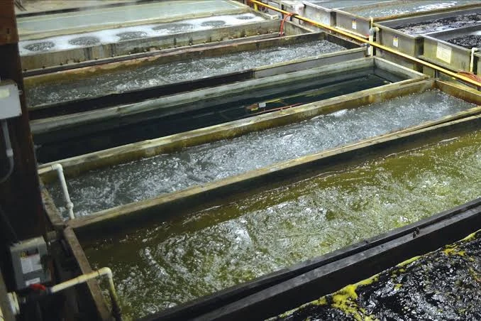 Electroplating sludge
