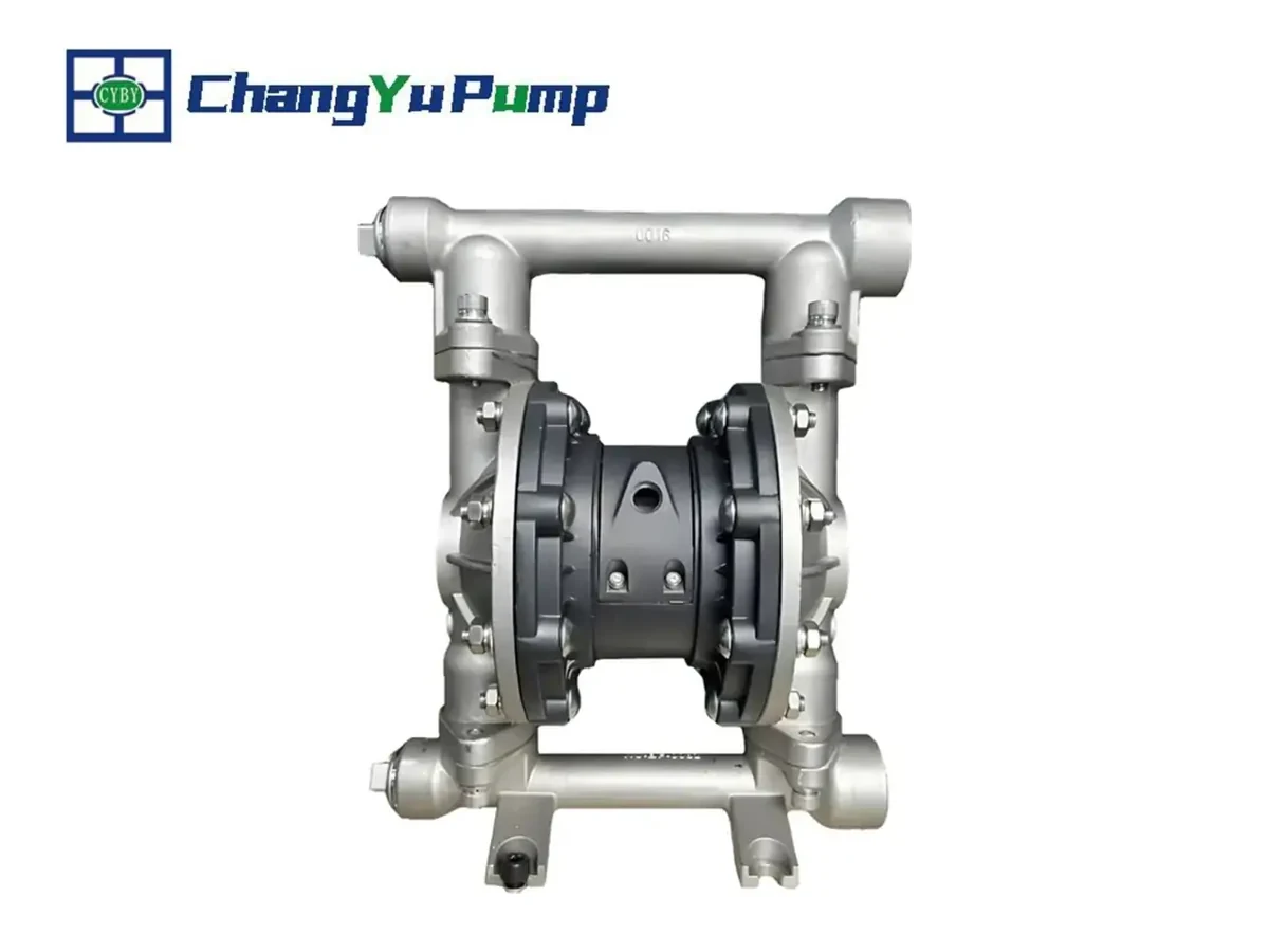 Pompe à membrane standard Changyu BFQ - Produit 01