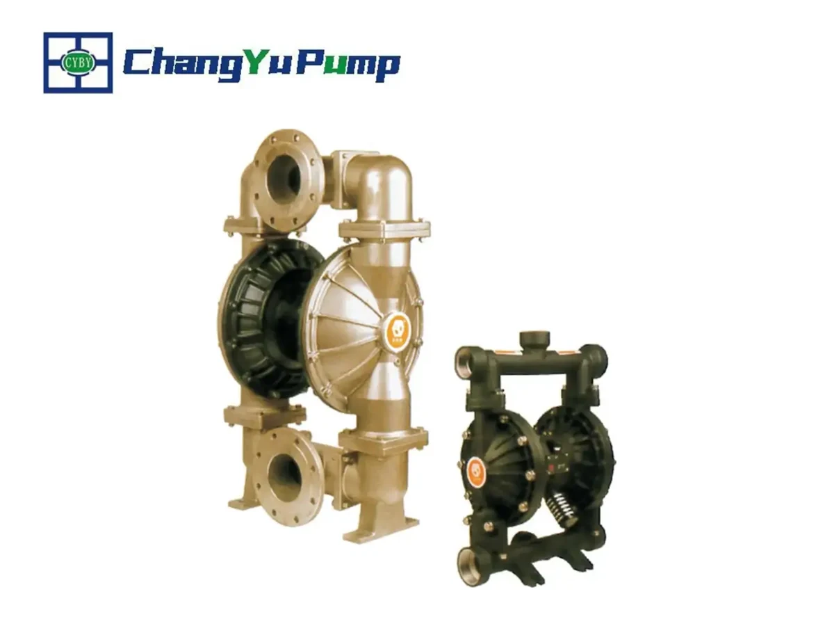 Pompe à membrane standard Changyu BFQ - Produit 02