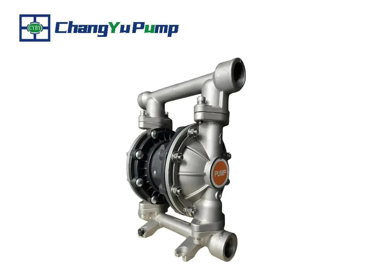 Pompe à membrane standard Changyu BFQ - Produit 03