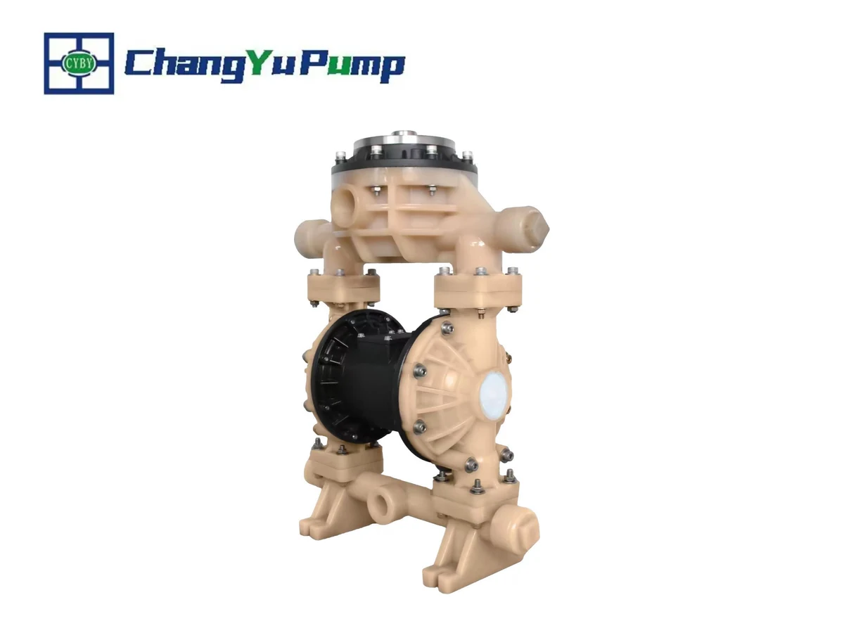 Pompe à membrane de quatrième génération Changyu BFQ4 - Produit 02