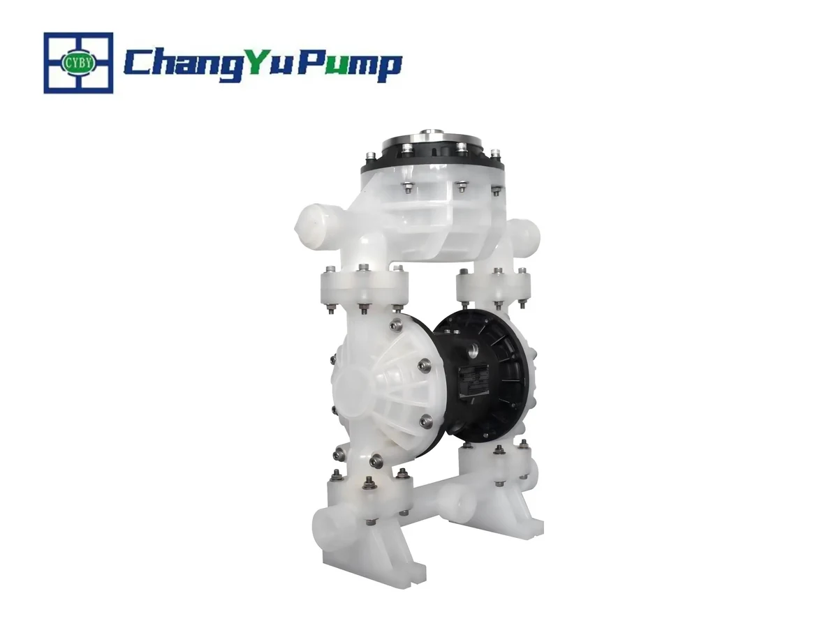 Pompe à membrane de quatrième génération Changyu BFQ4 - Produit 03
